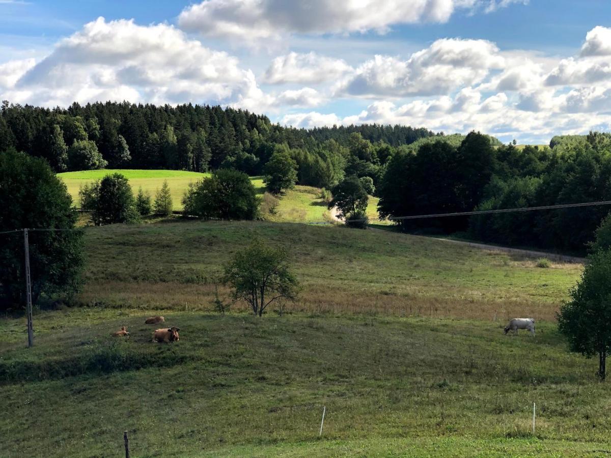 Polimony - Dom Nad Jeziorem Z Prywatnym Pomostem Polimonie Eksteriør bilde